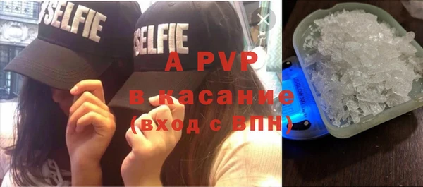 стафф Вязьма