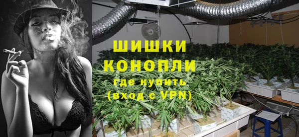 стафф Вязьма