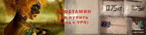 стафф Вязьма