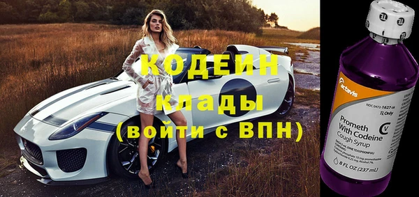 дживик Вяземский