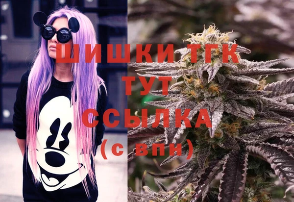 стафф Вязьма