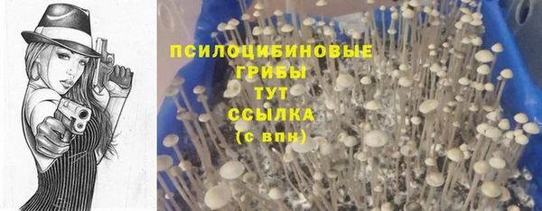 дживик Вяземский