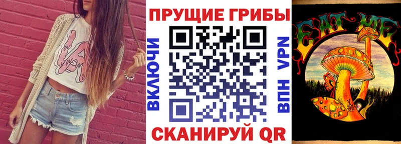 Галлюциногенные грибы мицелий  Купить  Тара 