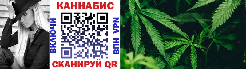 Купить закладки  Тара  Канабис White Widow 